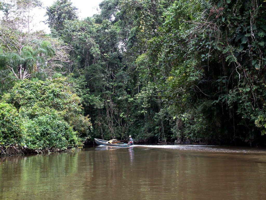 17-The Rio Cuyabena.jpg - The Rio Cuyabena